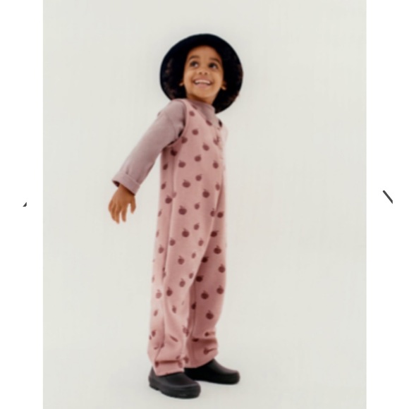 NWT | Zara | Apple Overalls - Picture 7 of 8